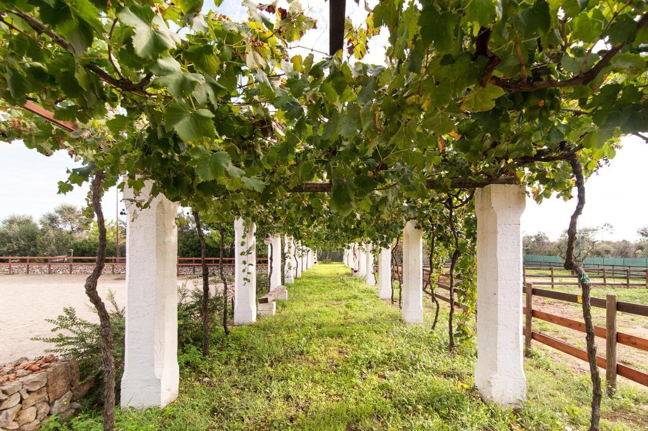 Tenuta Aphrodite Racale Eksteriør bilde
